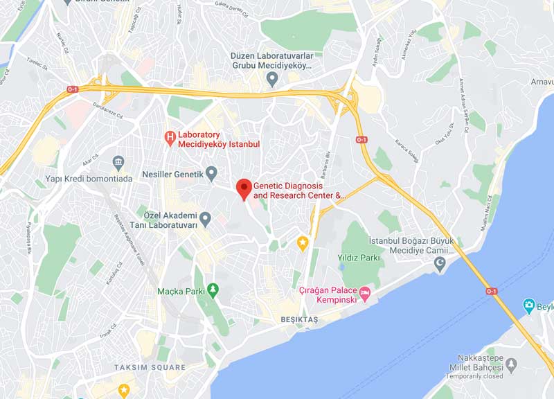 onkogenetiks-genetiks-map